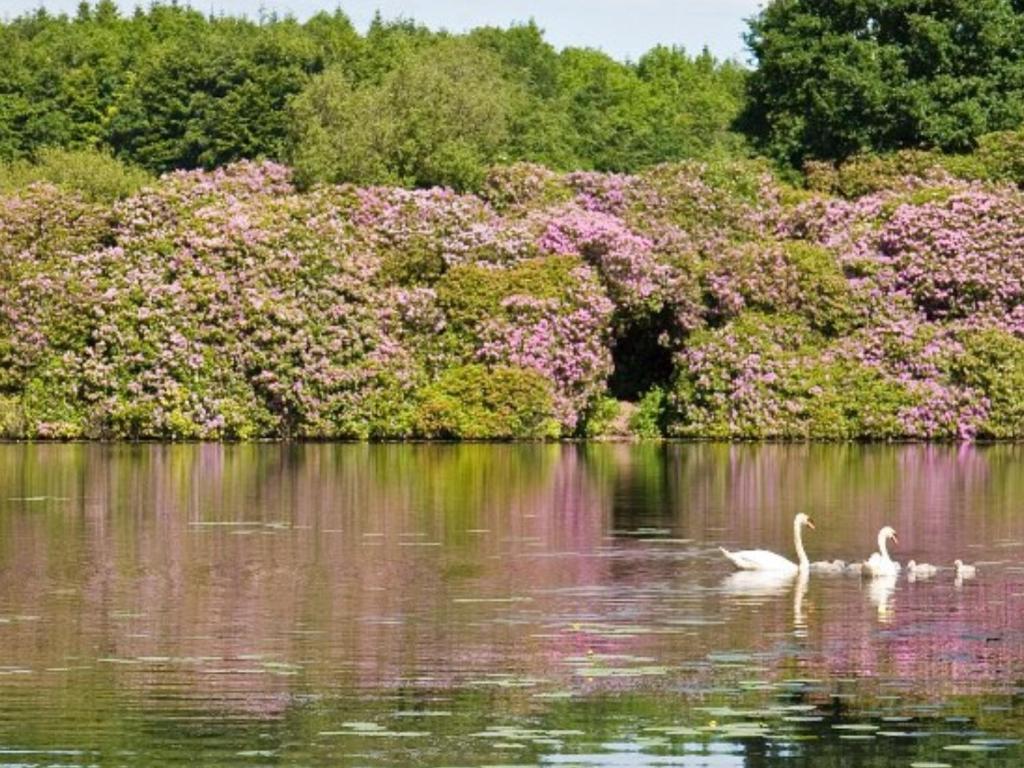 Killyliss Country House B&B Lisnalong 외부 사진